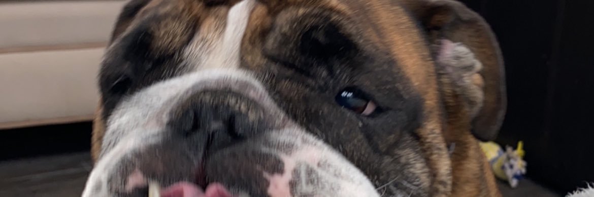 ashley_chew's profile banner image