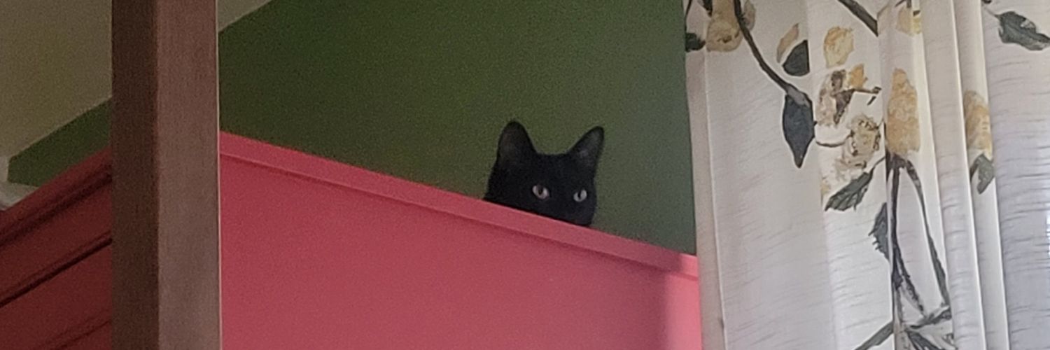 de arro y de masa💫 banner