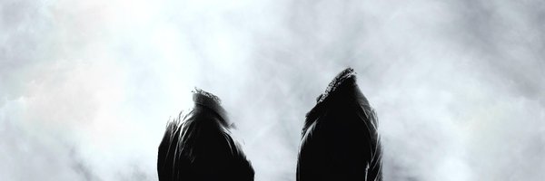 tbsfd Profile Banner