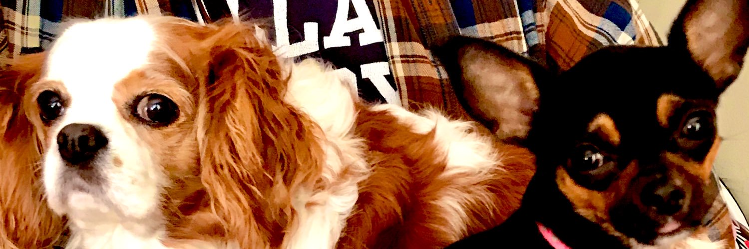 LisaMB418's profile banner image