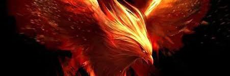 eri_gmarques's profile banner image