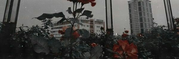 bxrnxrd's profile banner image