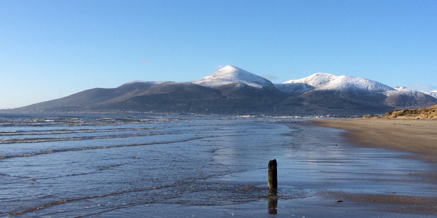 Aveen McCraith banner