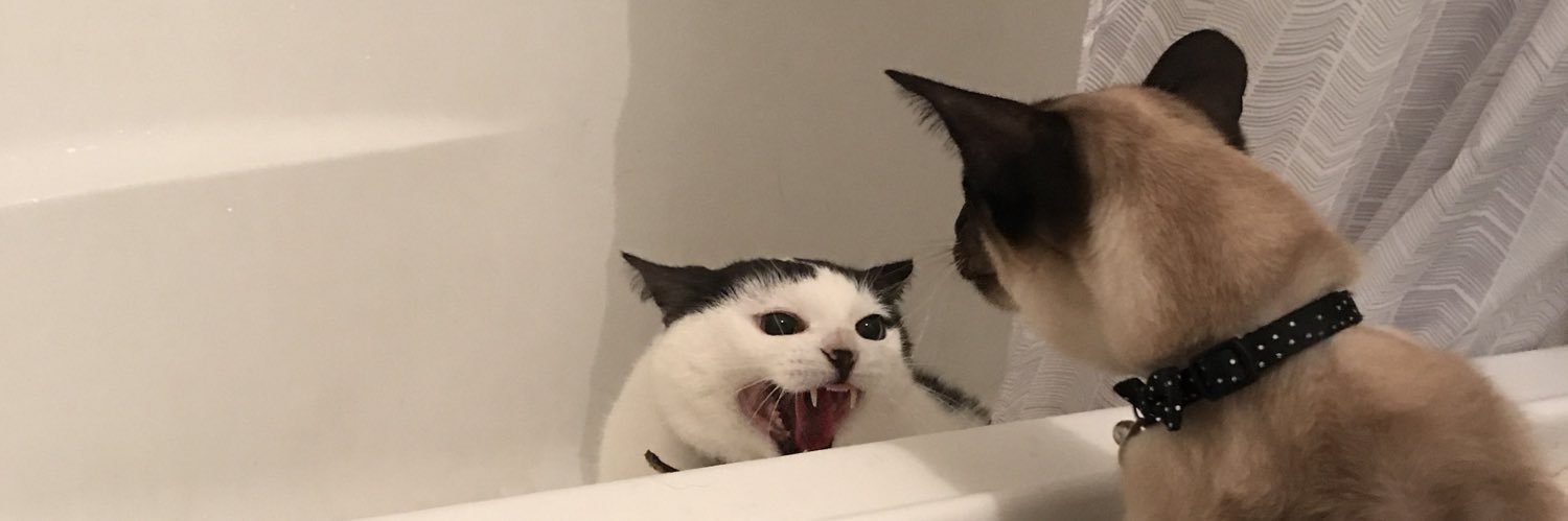 hello_tiger's profile banner image