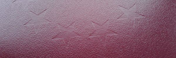 AnjaKuschmann Profile Banner