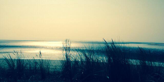 Dr Helen Hodges banner