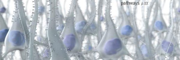 _MikeLodato Profile Banner