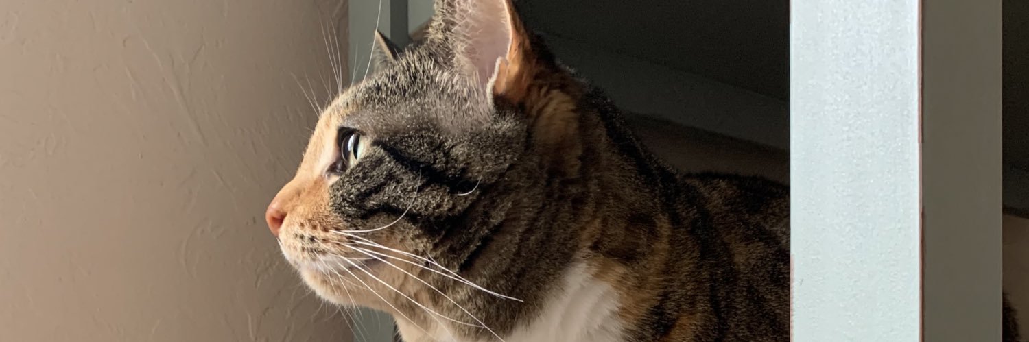 gotdemtweets's profile banner image