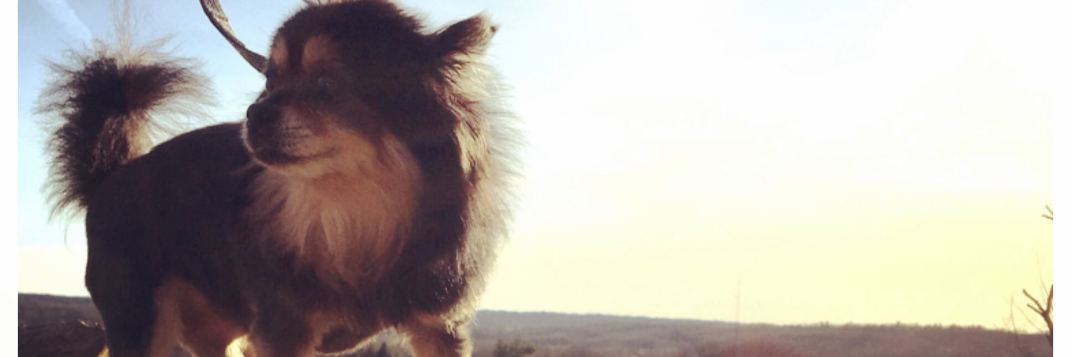 AlixNicoleo's profile banner image