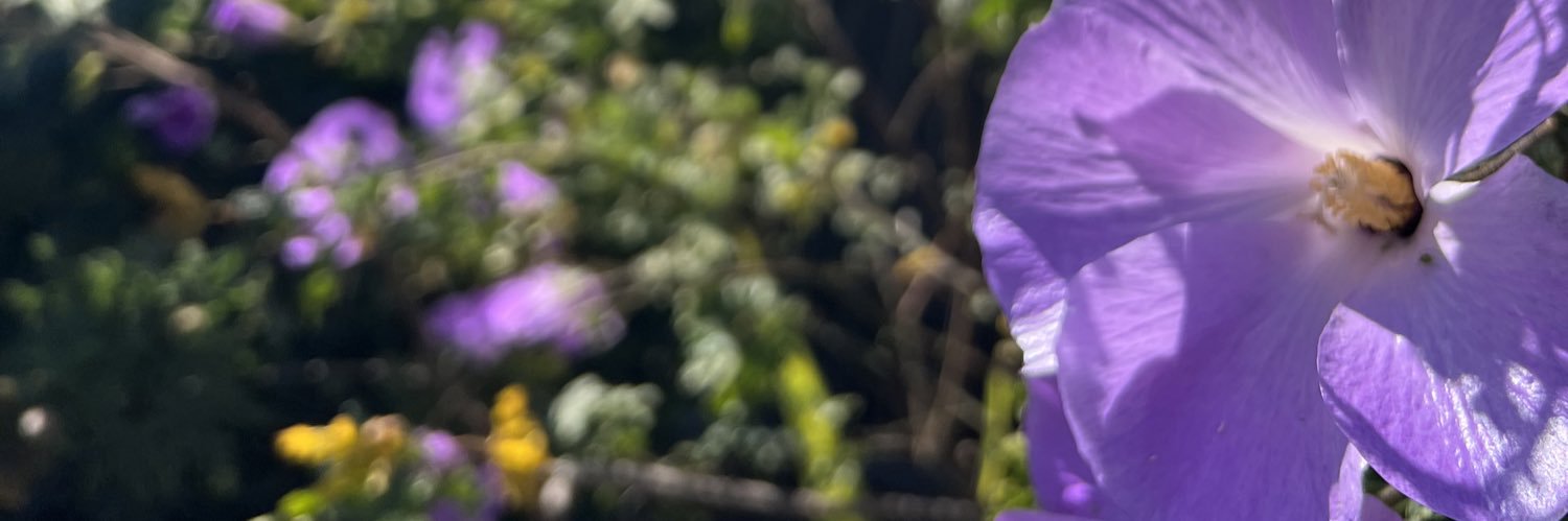 weeleprechaun's profile banner image