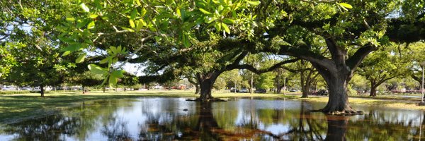 WaggonnerBall Profile Banner