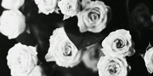 ArianaGCL's profile banner image