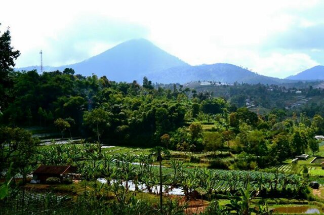 daeng_upik's profile banner image