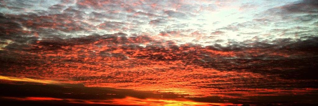 ekinay's profile banner image