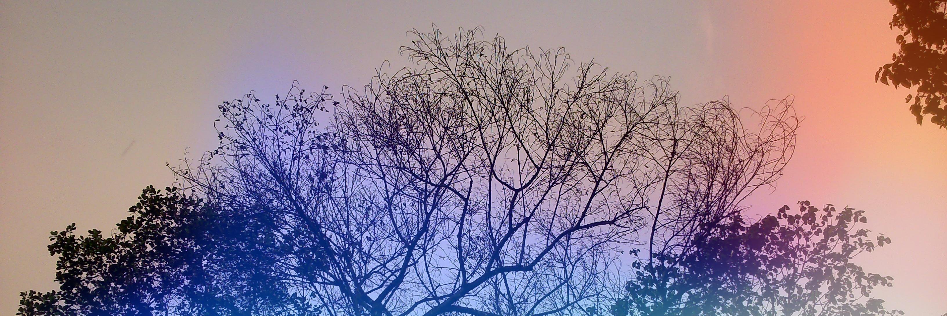 DantisMathai's profile banner image