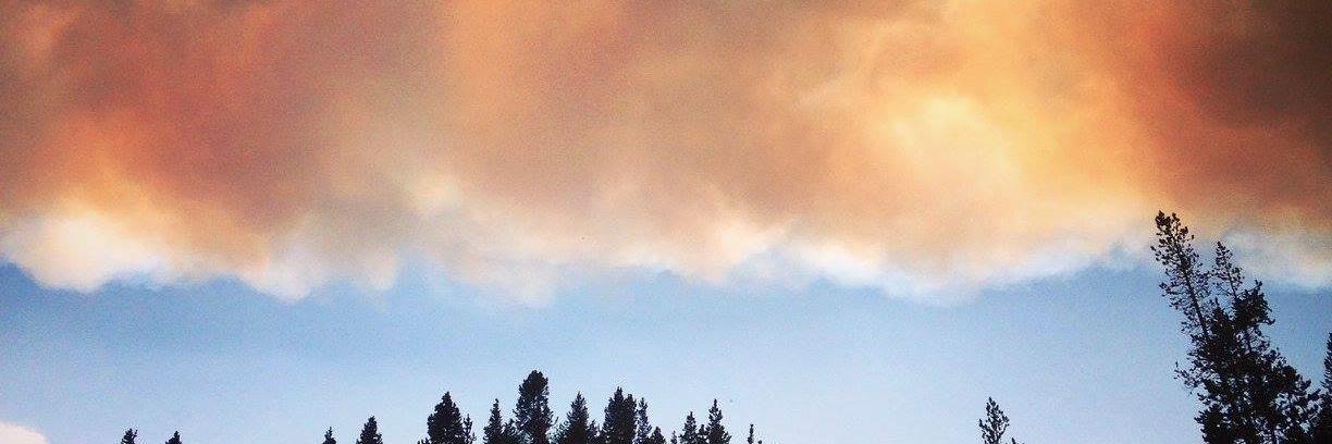 Lakshmi Varanasi banner