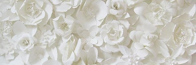 tasyoss's profile banner image