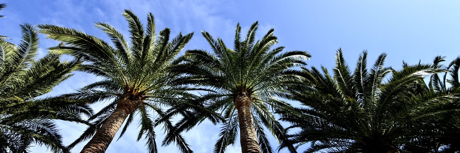 🅼🅰🅽🅽 シ banner