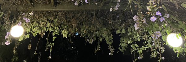 ResistancePoppy Profile Banner