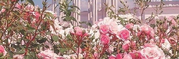 lore banner