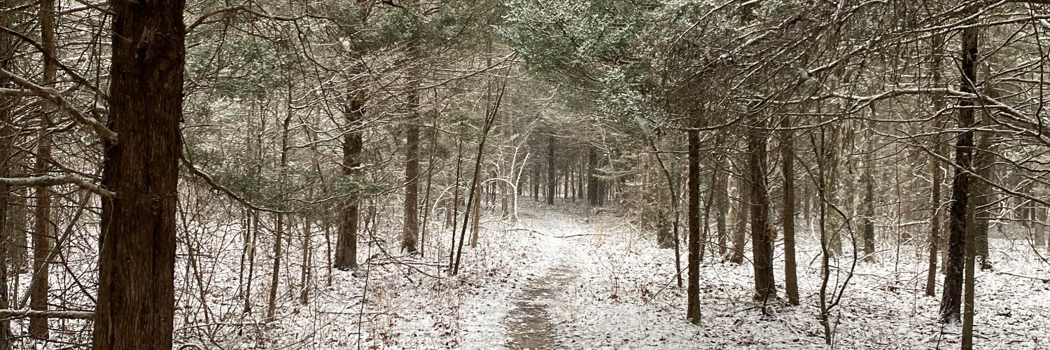 MarkTwain NF banner