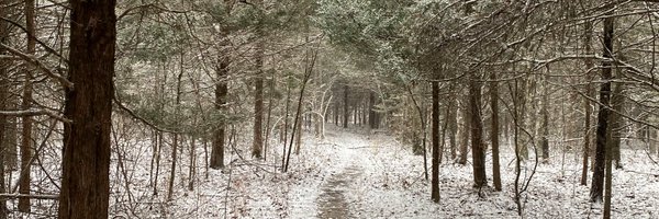 marktwain_nf Profile Banner