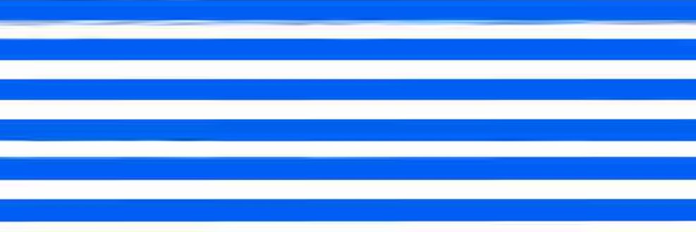 Ferruns (🐈‍⬛, 🛵) ▚▘▚▘▚▘ banner