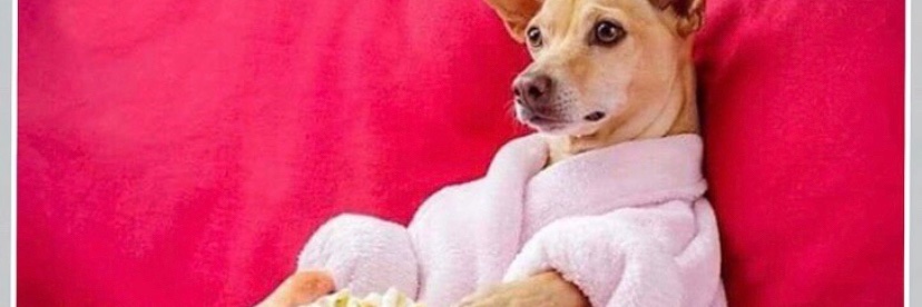 itsgaba_'s profile banner image