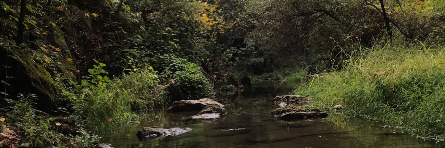 wolfieleyna's profile banner image