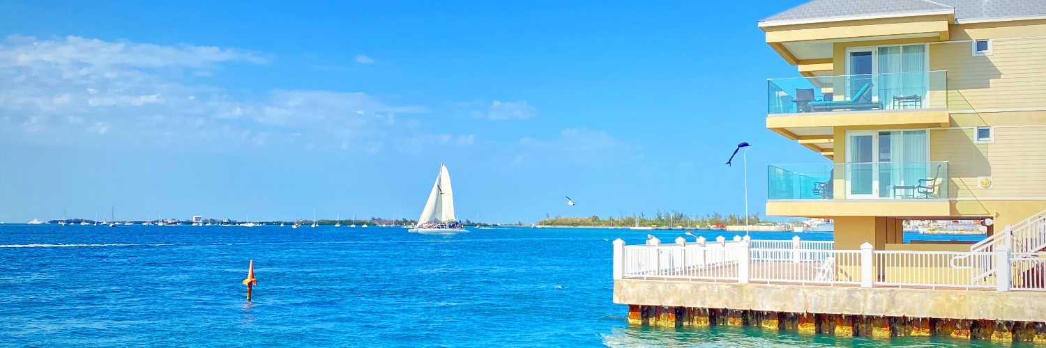 High Tides Crypto banner