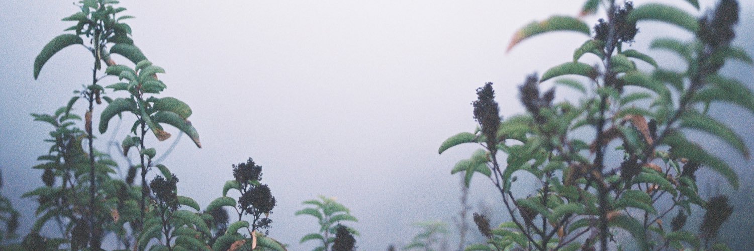 skeletonheads banner