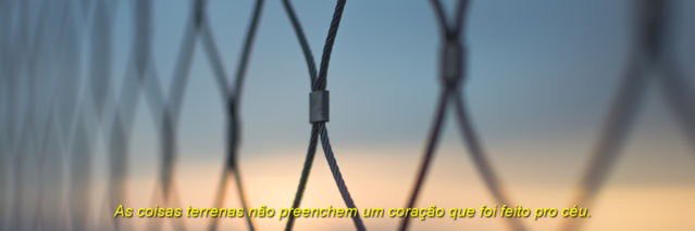 juliana banner