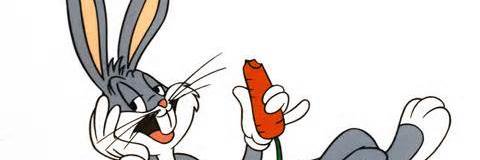 wombats59's profile banner image