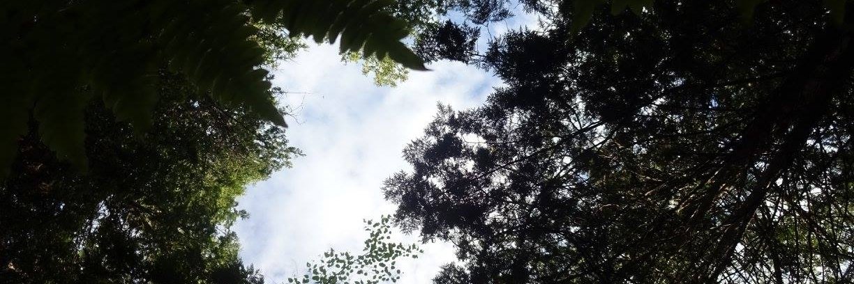 theonlymuthaX's profile banner image