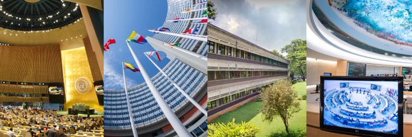 UNDGACM_FR Profile Banner