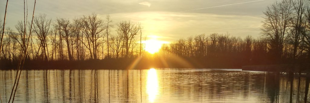 amberlapierre_'s profile banner image