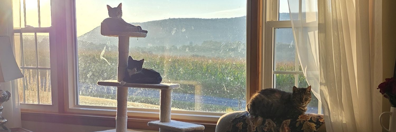 April Mae Ulmer banner