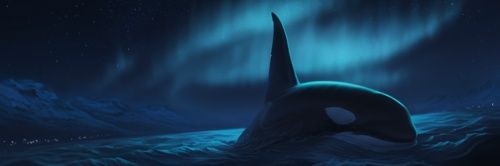 Shadoe1D's profile banner image