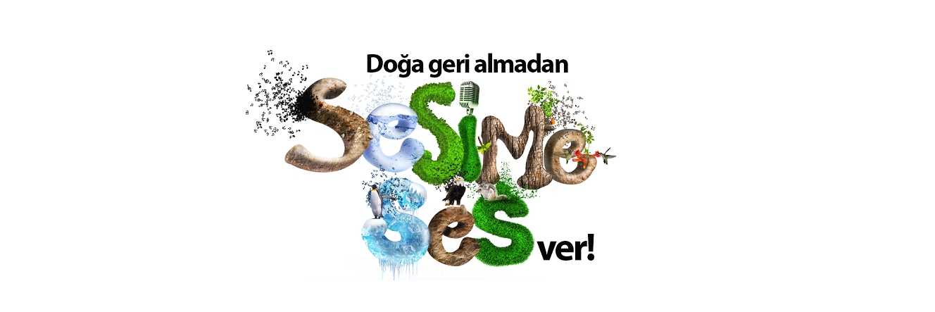 yesilbilgi's profile banner image