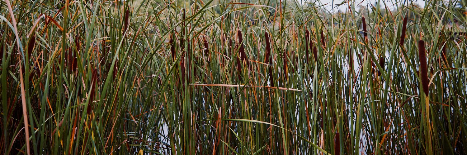 Great Outdoors Foundation banner