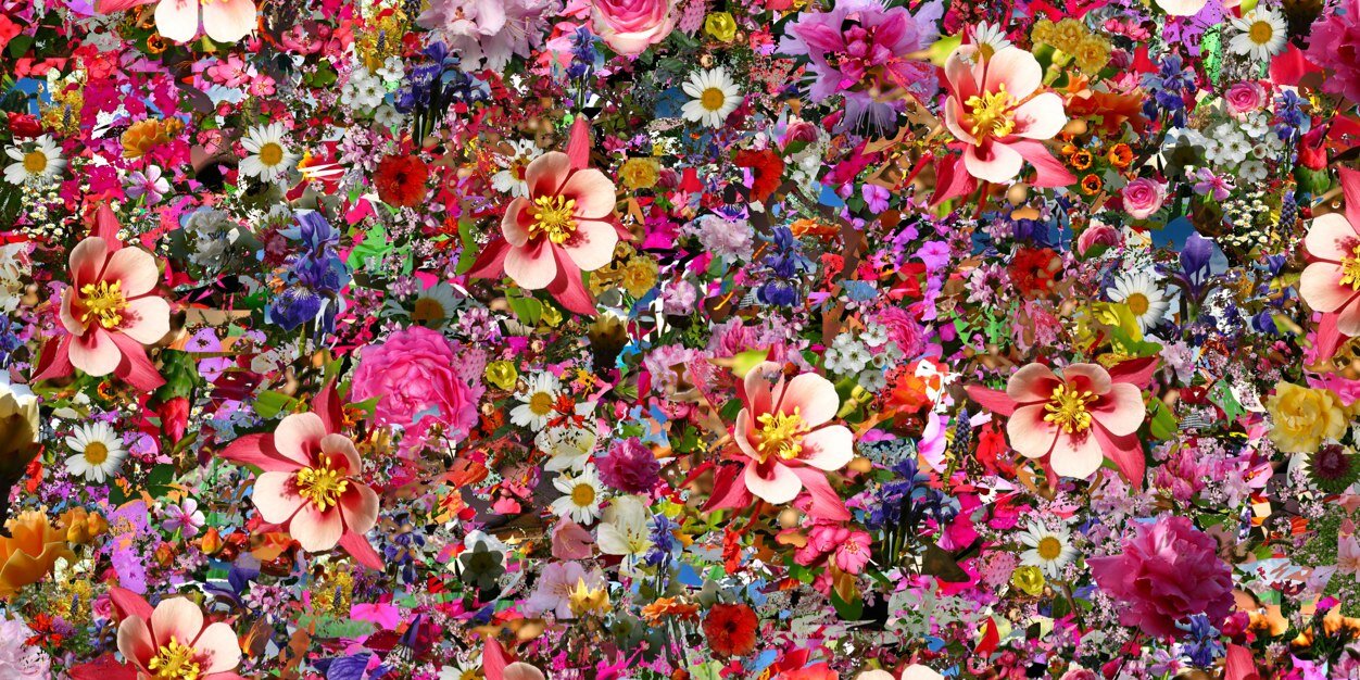 Ladybitsnp's profile banner image