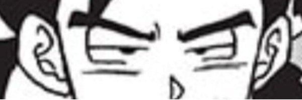 Robitz_1305 Profile Banner