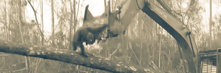 nowlying's profile banner image