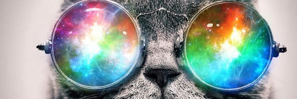 kavitapatelx's profile banner image