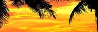 roso1954's profile banner image
