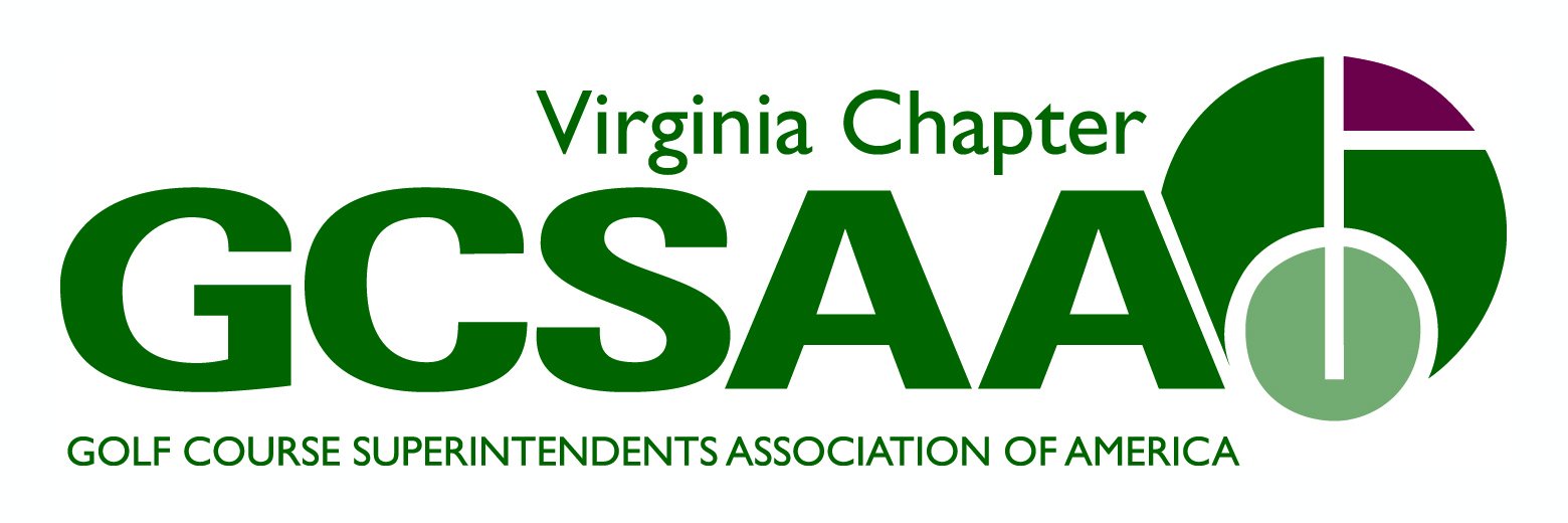 VGCSA banner