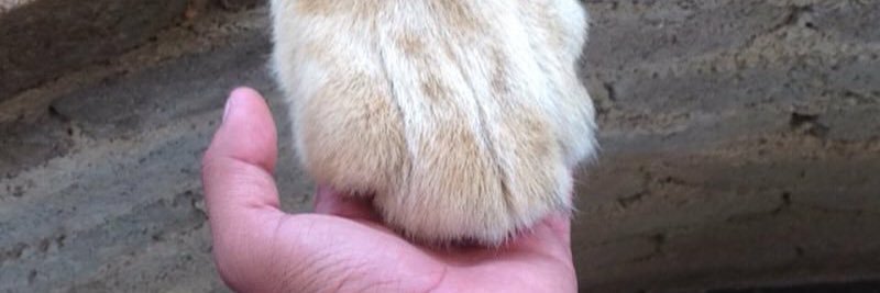 Jose Leonardo Heid Andrada banner