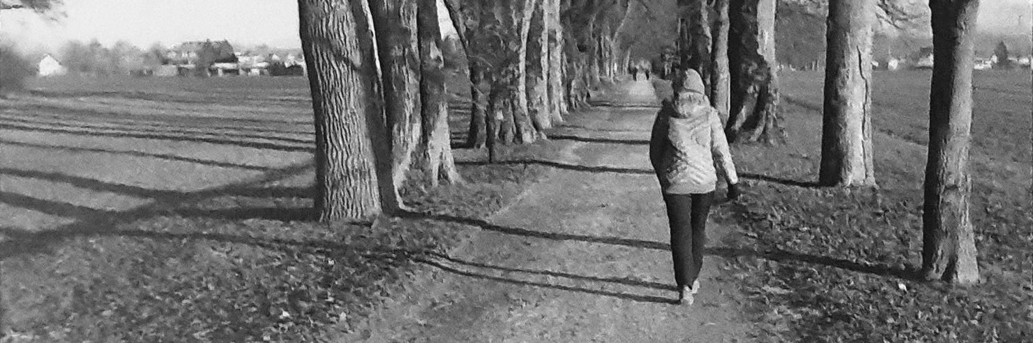 Martin Stepic banner