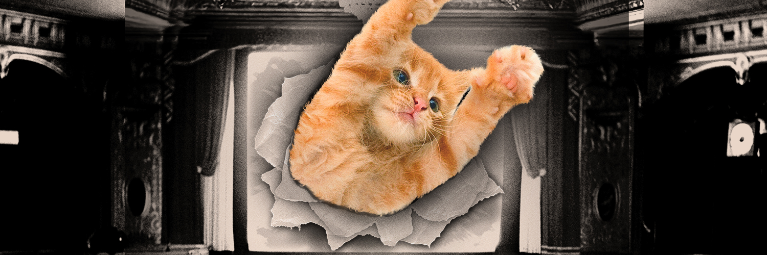 ᑕᗩT ᐯiᗪE0 ᖴEᏕT 😺 banner