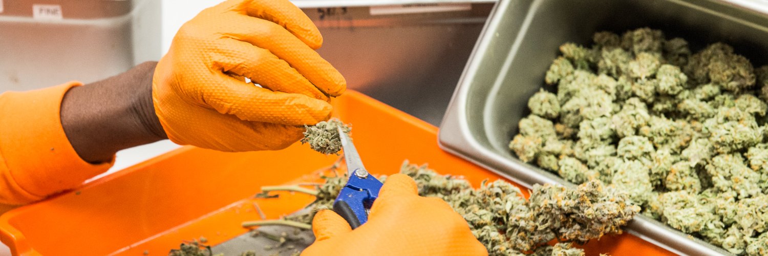 CANNDESCENT banner